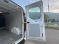 Ford Transit Custom Kasten 2,0 TDCi L2H1 300 Trend Verglaste-Hecktü... Weiß - thumbnail 36