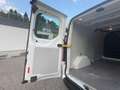 Ford Transit Custom Kasten 2,0 TDCi L2H1 300 Trend Verglaste-Hecktü... Weiß - thumbnail 35