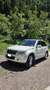 Suzuki Grand Vitara 5p 1.9 ddis Executive - thumbnail 2