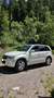 Suzuki Grand Vitara 5p 1.9 ddis Executive - thumbnail 3