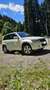 Suzuki Grand Vitara 5p 1.9 ddis Executive - thumbnail 1