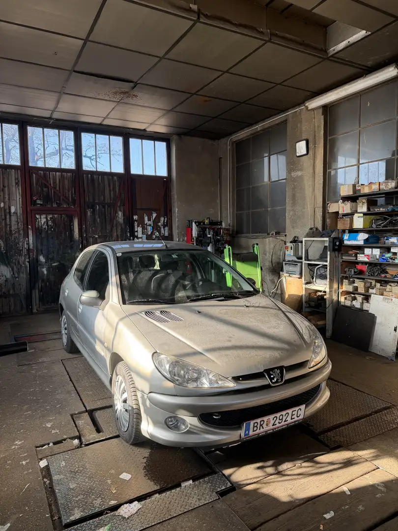 Peugeot 206 Platinum Edition 2,0 HDI 90 - 2