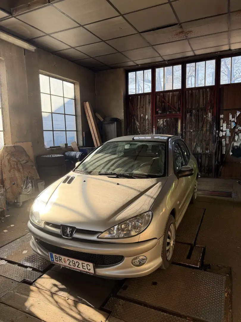 Peugeot 206 Platinum Edition 2,0 HDI 90 - 1
