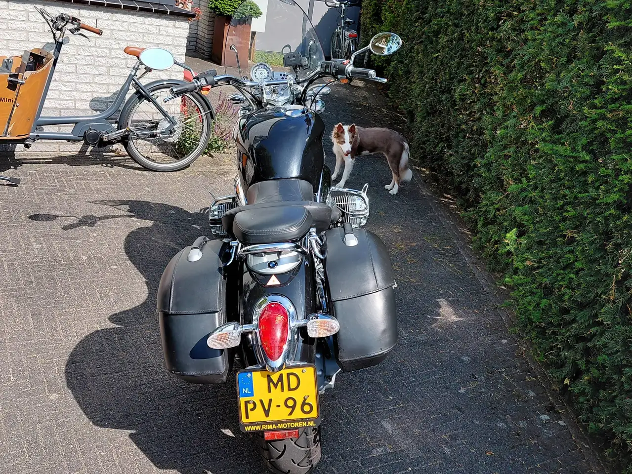 BMW R 1200 C