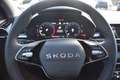 Skoda Fabia 1.0 TSI DSG TOUR*Navi*LED*ACC*Rückcam.*uvm Grau - thumbnail 18