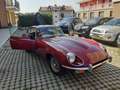 Jaguar E-Type 4.2 II serie coupe ASI targa ORO Rood - thumbnail 7