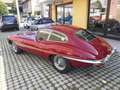 Jaguar E-Type 4.2 II serie coupe ASI targa ORO Rood - thumbnail 2