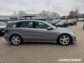 Mercedes-Benz R 350 R 350 CDI DPF 4-Matic COMAND APS/Styling/Klima Gris - thumbnail 8