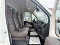 Peugeot Boxer BOXER KOFFER LBW KLIMA TEMP. SCHWINGSITZ 163 PS Weiß - thumbnail 18