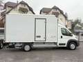 Peugeot Boxer BOXER KOFFER LBW KLIMA TEMP. SCHWINGSITZ 163 PS Weiß - thumbnail 13