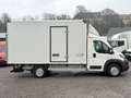 Peugeot Boxer BOXER KOFFER LBW KLIMA TEMP. SCHWINGSITZ 163 PS Weiß - thumbnail 17