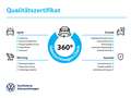 Volkswagen Golf VIII UNITED 2.0 TDI DSG AHK+PDC+Navi+Clima+ Gris - thumbnail 6