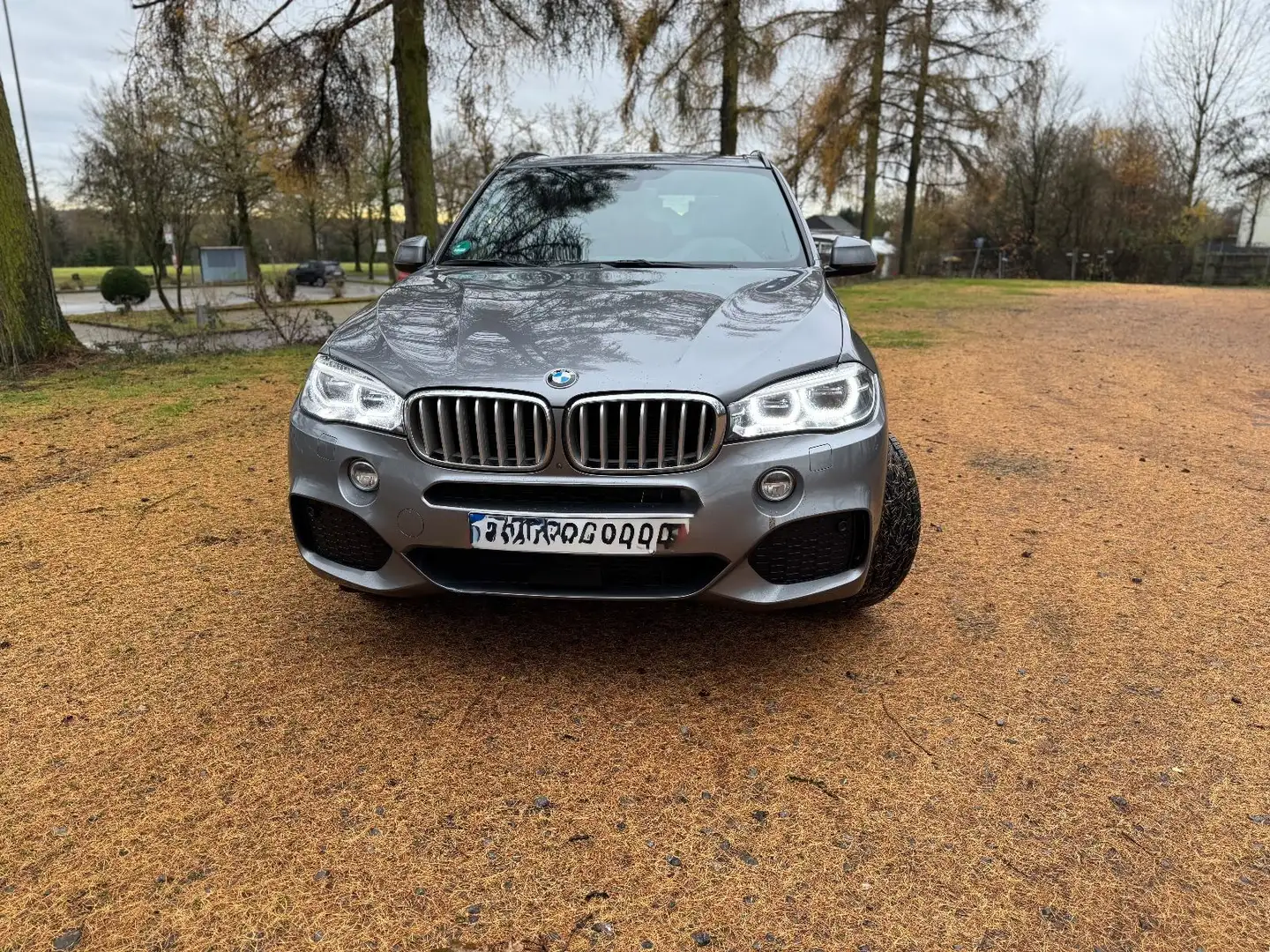 BMW X5 M X5 40d mit M Paket & Standheizung aus 1. Hand! Gris - 1