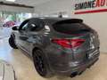 Alfa Romeo Stelvio Stelvio 2.2 t Veloce Q4 210cv auto Gris - thumbnail 8