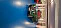 Morgan 4/4 ITALIANA DA SEMPRE - MOTORE FORD 1.4 - Gri - thumbnail 14