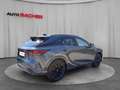 Lexus RX 500h F-Sport+ 371 PS Allrad Grau - thumbnail 7