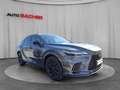 Lexus RX 500h F-Sport+ 371 PS Allrad Grau - thumbnail 4