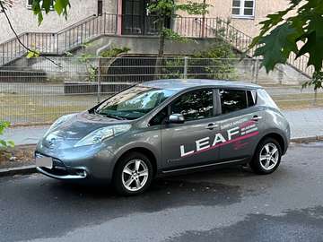 Leaf