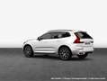 Volvo XC60 XC60 B4 B Geartronic Momentum Pro Weiß - thumbnail 7