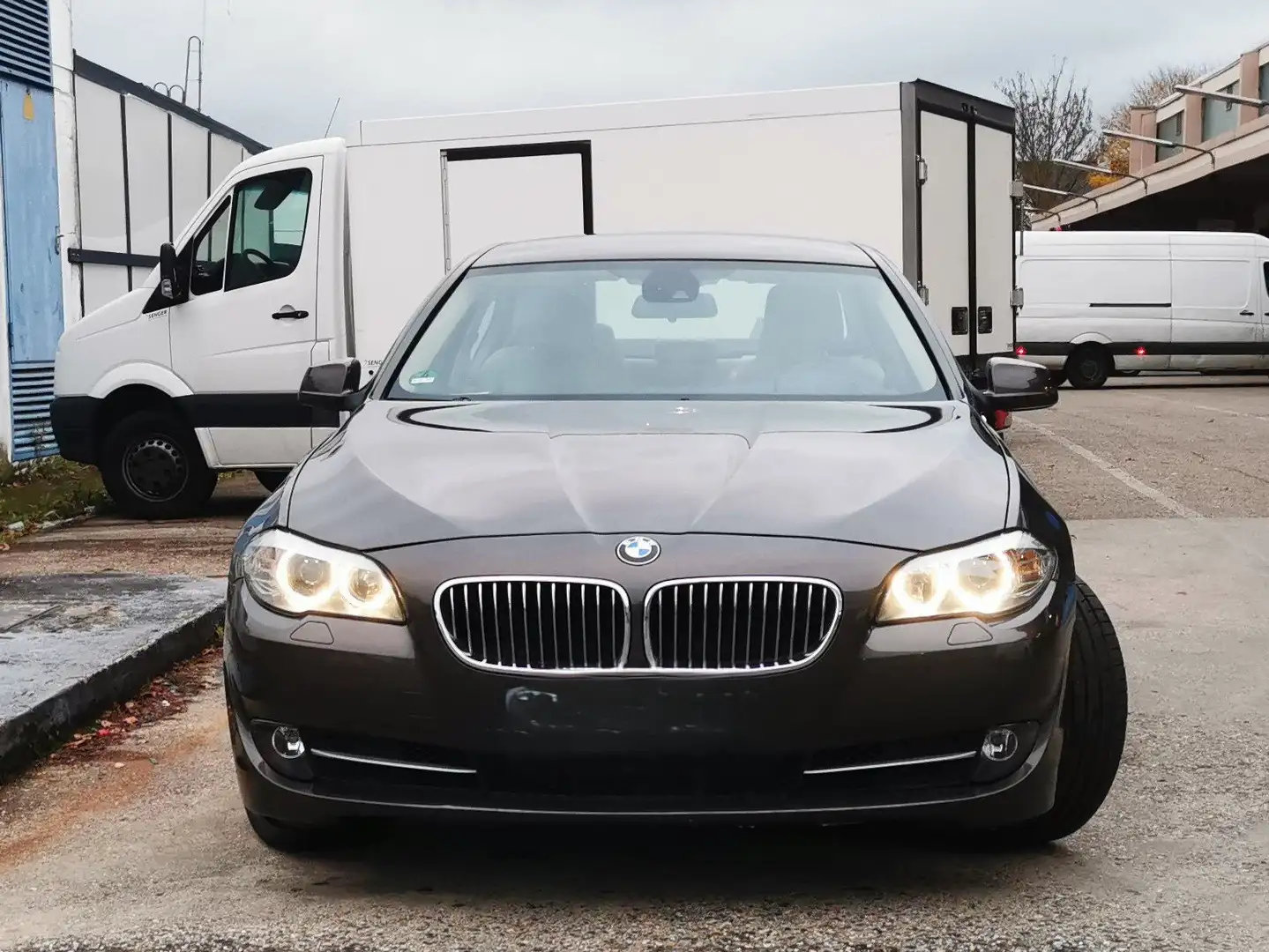 BMW 525 Bronze - 2