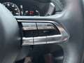 Mazda MX-30 Advantage HUD Navi Leder Soundsystem LED Blendfrei Beige - thumbnail 8