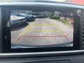 Kia Sportage 1.6 CRDI 136cv Mhev DCT7 2WD Bus.Class(AUTOCARRO) Grigio - thumbnail 13