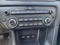 Kia Sportage 1.6 CRDI 136cv Mhev DCT7 2WD Bus.Class(AUTOCARRO) Grigio - thumbnail 14