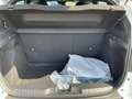 Fiat Grande Panda EDCT ICON HYBRID Blanc - thumbnail 10