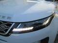 Land Rover Range Rover Evoque Range Rover Evoque 2.0D I4 150CV AWD Business Blanc - thumbnail 27