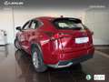 Lexus NX 300 300h Business 2WD Burdeos - thumbnail 14