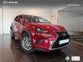 Lexus NX 300 300h Business 2WD Burdeos - thumbnail 12
