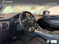 Lexus NX 300 300h Business 2WD Burdeos - thumbnail 20