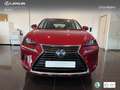 Lexus NX 300 300h Business 2WD Burdeos - thumbnail 4