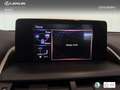 Lexus NX 300 300h Business 2WD Burdeos - thumbnail 19