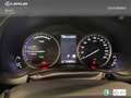 Lexus NX 300 300h Business 2WD Burdeos - thumbnail 18
