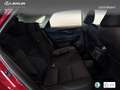 Lexus NX 300 300h Business 2WD Burdeos - thumbnail 7