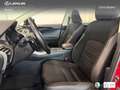 Lexus NX 300 300h Business 2WD Burdeos - thumbnail 15