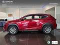 Lexus NX 300 300h Business 2WD Burdeos - thumbnail 13