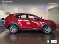 Lexus NX 300 300h Business 2WD Burdeos - thumbnail 3