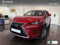 Lexus NX 300 300h Business 2WD Burdeos - thumbnail 1
