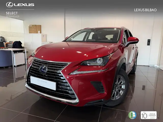 Lexus NX 300 300h Business 2WD