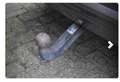 Porsche Cayenne Cayenne S E-Hybrid Gris - thumbnail 20