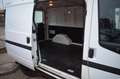 Ford Transit Kasten FT 260 K City Light 2.HAND*AHK Weiß - thumbnail 21