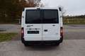 Ford Transit Kasten FT 260 K City Light 2.HAND*AHK Weiß - thumbnail 5