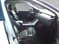 Land Rover Range Rover Evoque SE Dynamic 2,0 TD4 Aut. Weiß - thumbnail 10