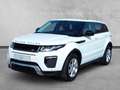 Land Rover Range Rover Evoque SE Dynamic 2,0 TD4 Aut. Weiß - thumbnail 1