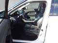 Land Rover Range Rover Evoque SE Dynamic 2,0 TD4 Aut. Weiß - thumbnail 7