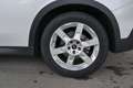 MINI Countryman E *Paket S/HUD/Driving Assistant/LED/Sitzhzg./Classic Trim* Weiß - thumbnail 5