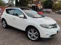 Nissan Murano Murano 2.5 D Automatik Executive Biały - thumbnail 3