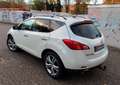 Nissan Murano Murano 2.5 D Automatik Executive Biały - thumbnail 5